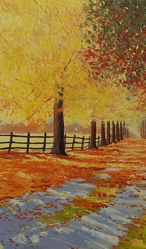 Autumnal shadows by Alen Grbic