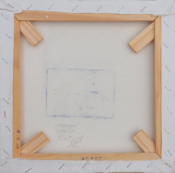 Eyes of the Snow Leopard