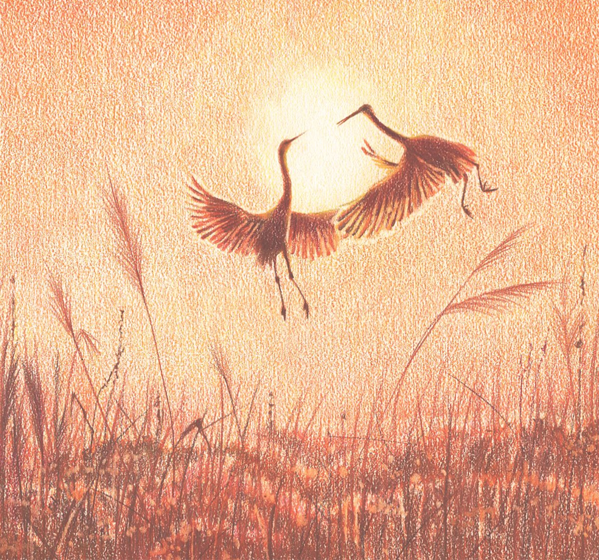 The Cranes. Sunrise. by Evgeniya Mokeeva