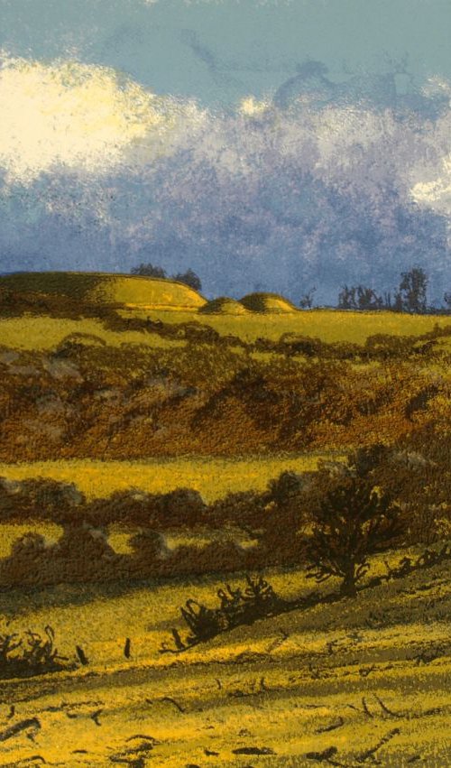 Knowth Morning Light by Aidan Flanagan Irish Landscapes