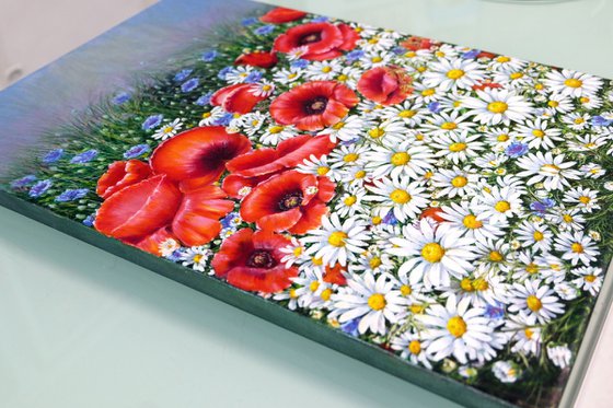 Poppies and Daisies