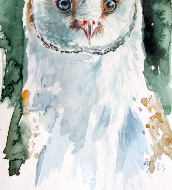 Owl collection