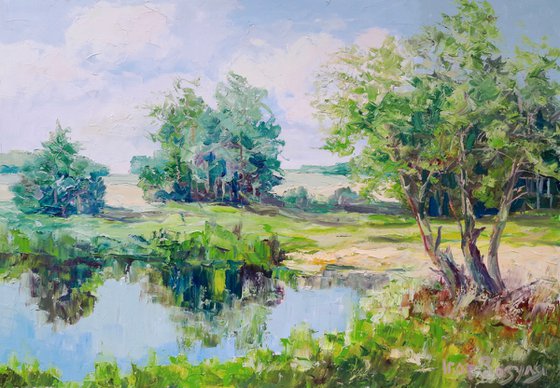 The Quiet Forest Mere