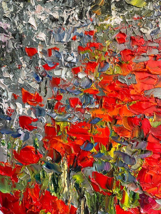Poppies on grey background