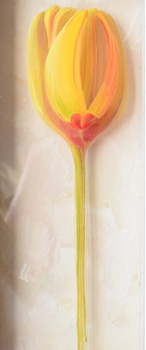 Tulip 1 by Marija Knezevic