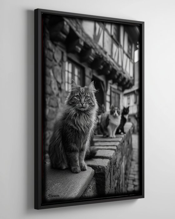 Cats in village B0805M