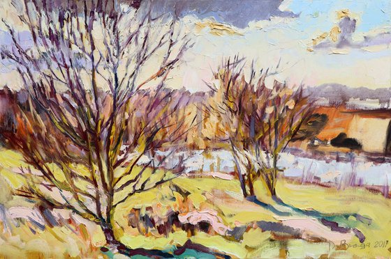 Plein air 17-03-2017 (fancy spring)