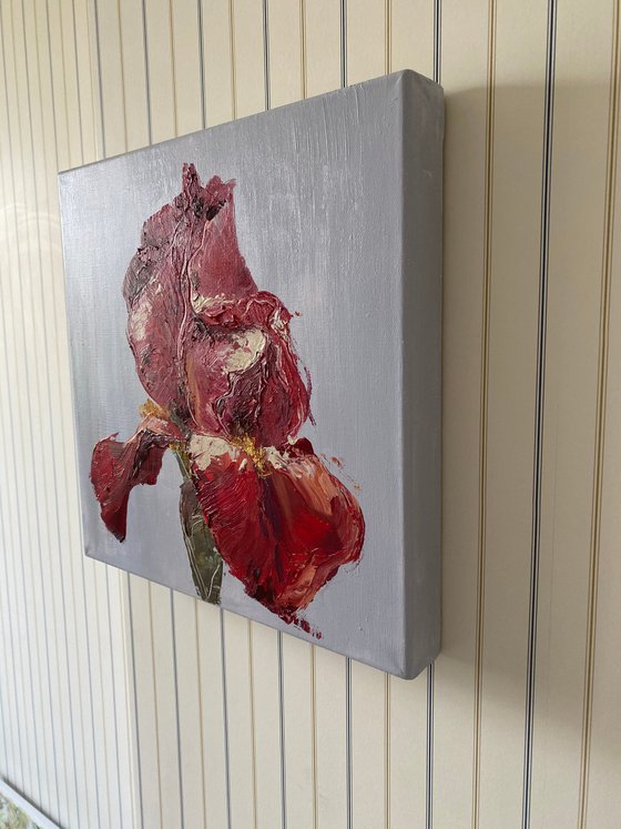 RED IRIS - original floral painting on canvas