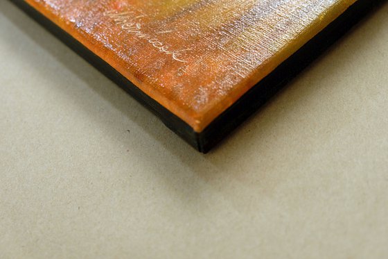 Forest in the evening