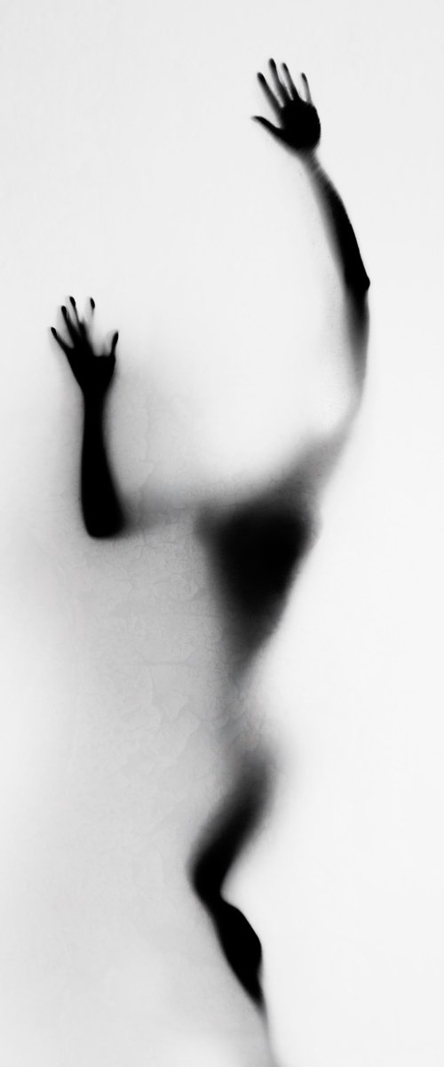 Silhouette by Cédric Brion