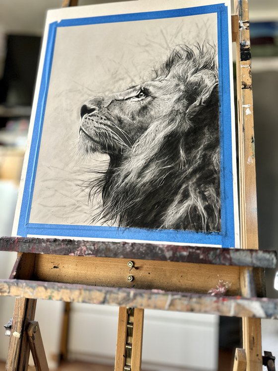 A Dreamer, original Lion