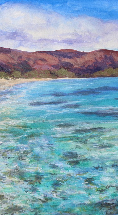 Balandra Bay Reef by Kristen Olson Stone