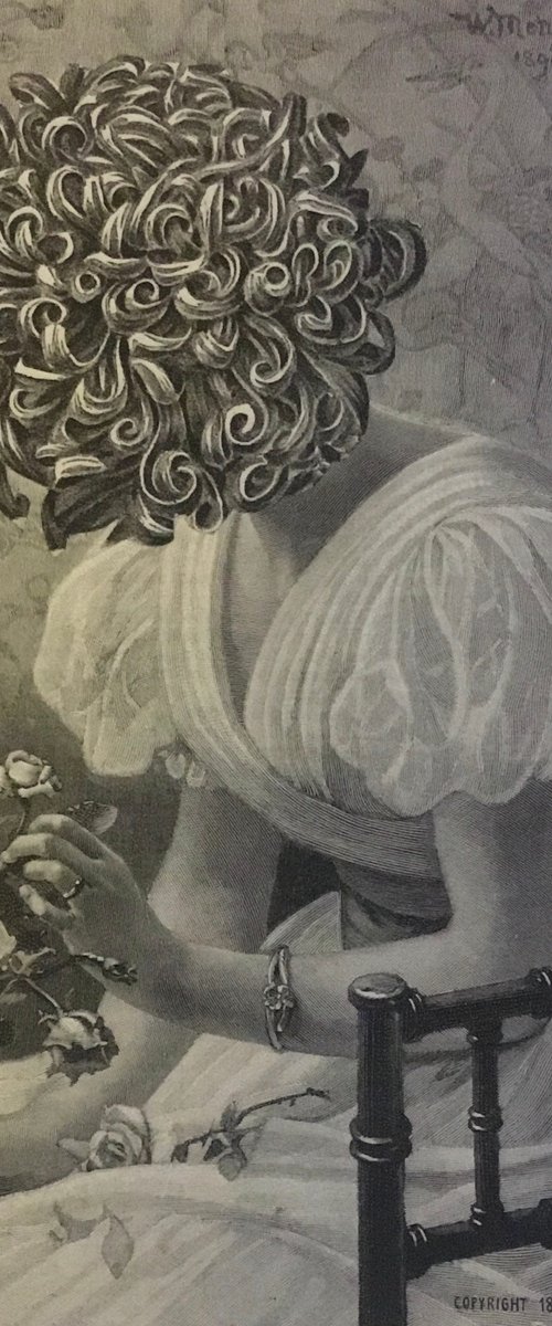 Flowers for Jessica by Tudor Evans