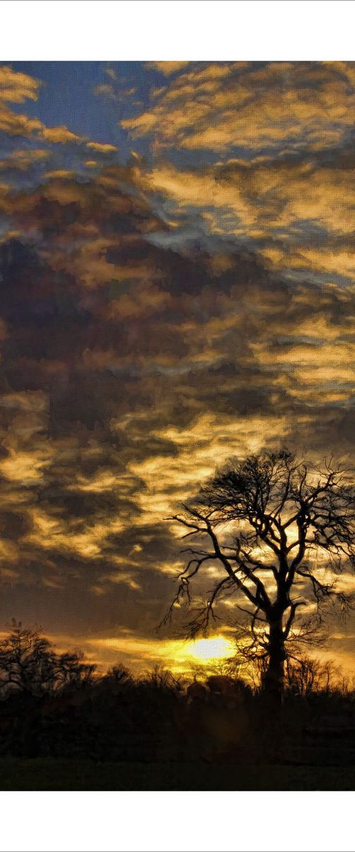 Sunset and Tree by Martin  Fry