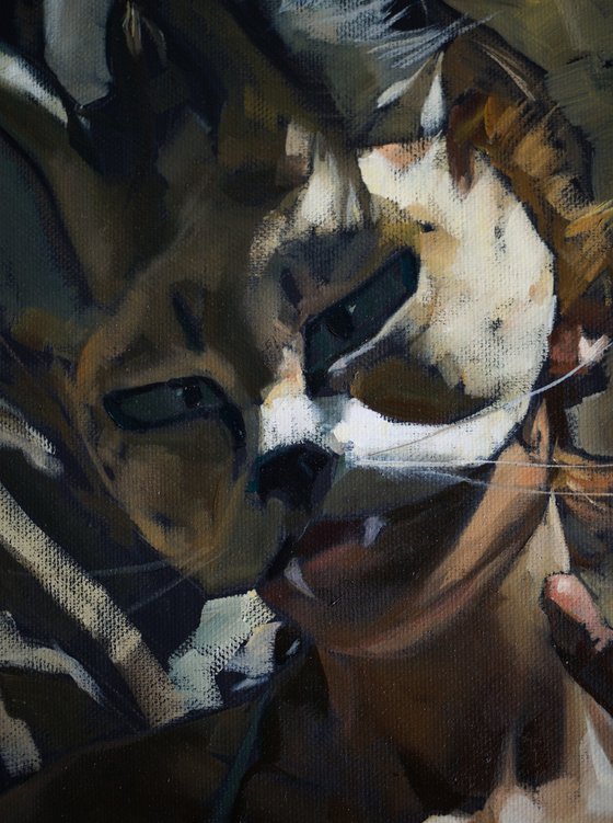 Feral