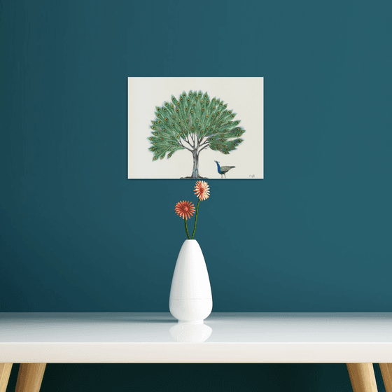 Peacock feather tree