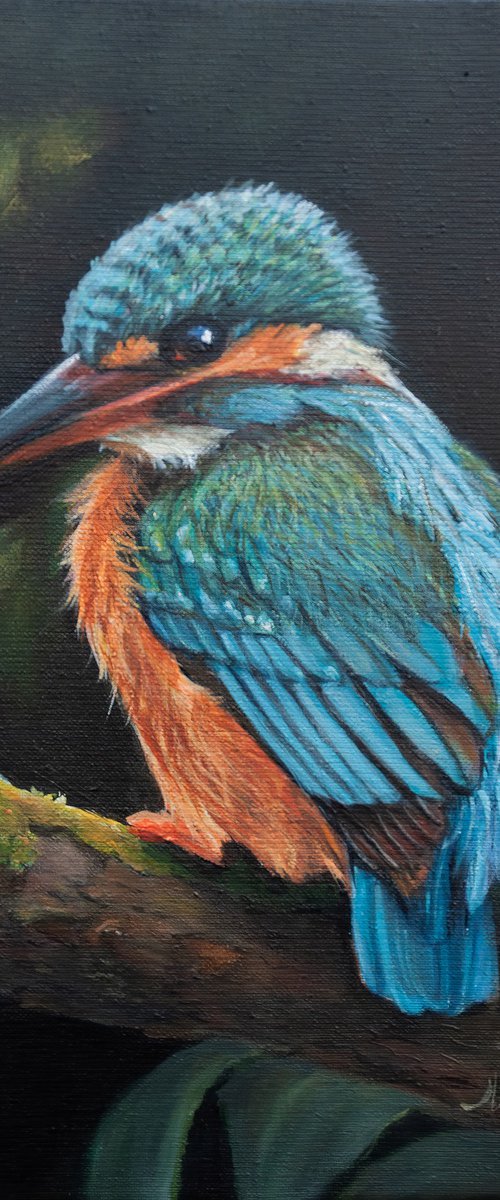 "Silent Watcher" by Norma Beatriz Zaro