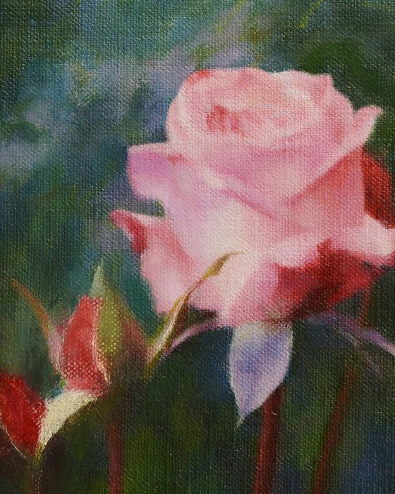 Rose and the Stream of Time