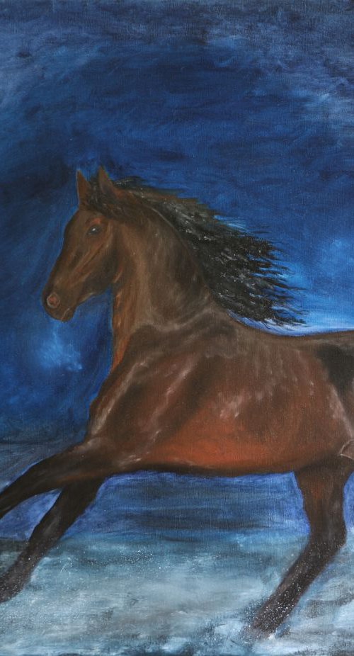 Free Gallop, 90x70cm by Ildiko Mecseri