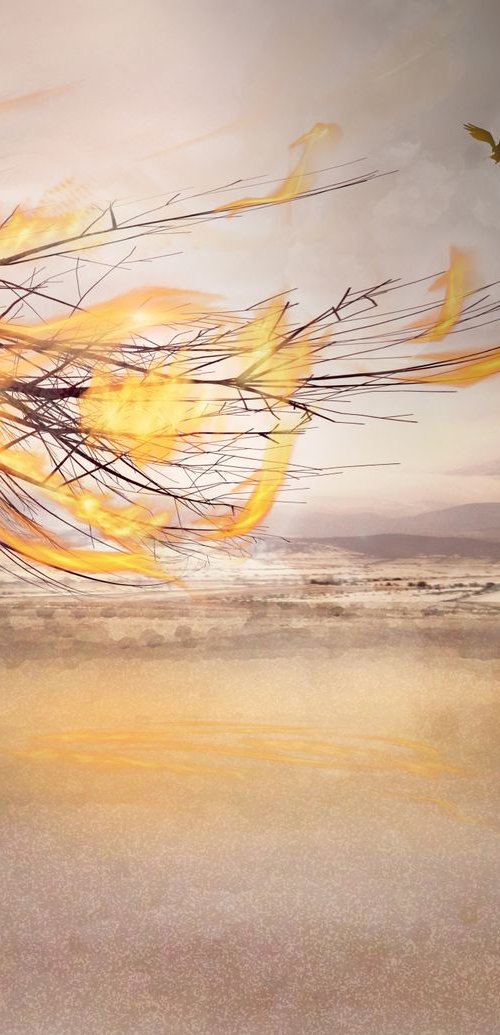 Desert Burning by Vanessa Stefanova