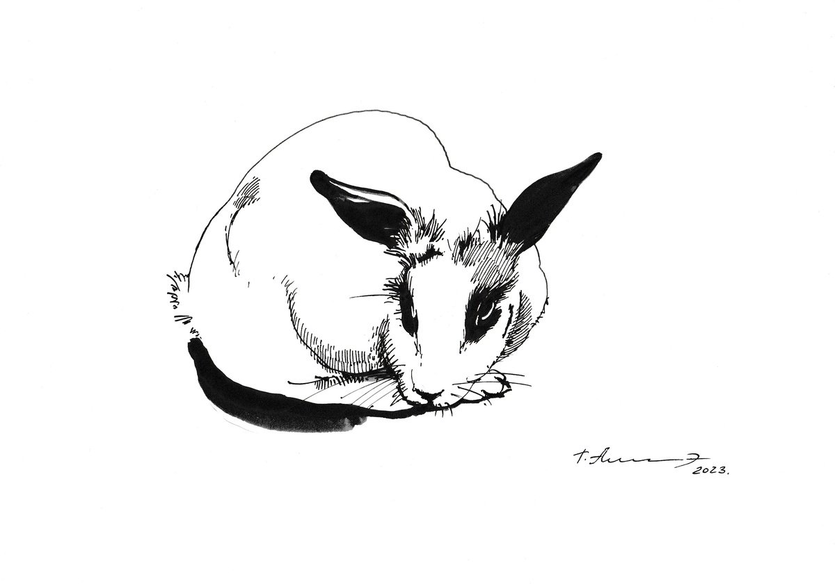Rabbit. In thought. by Tatiana Alekseeva