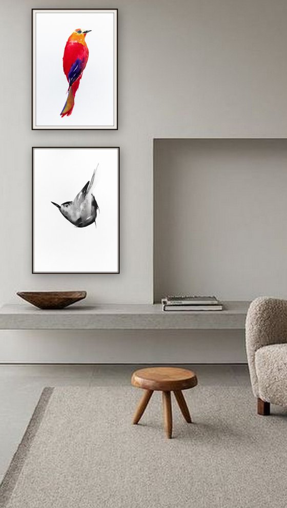 Birds