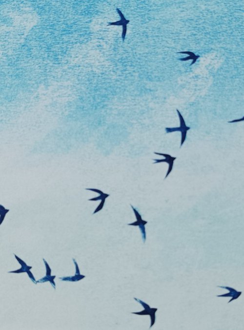 A Drift of Swifts by Jo Biggadike