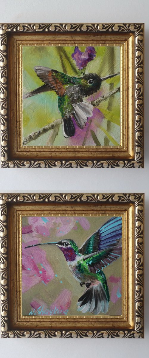 Hummingbird in Spring Light, Set 2 by Natalia Shaykina