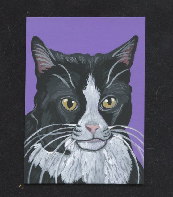 ACEO ATC Original Miniature Painting Black White Tuxedo Pet Cat Art-Carla Smale