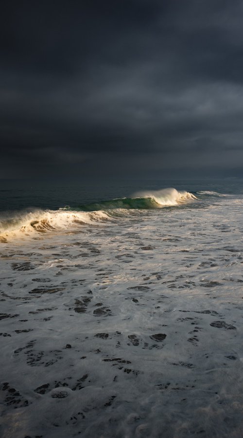 VENICE MOODS II by Harv Greenberg