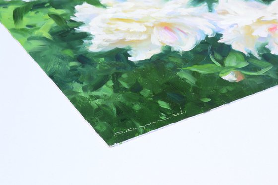 White peonies. Etude