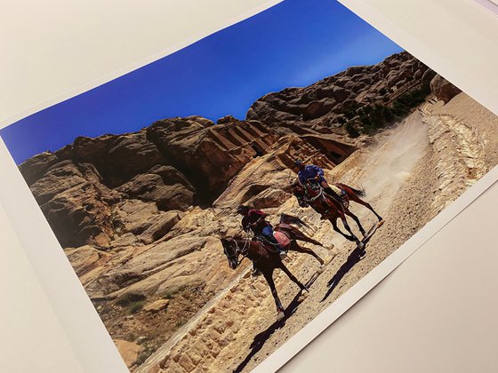 JORDANIAN HORSES