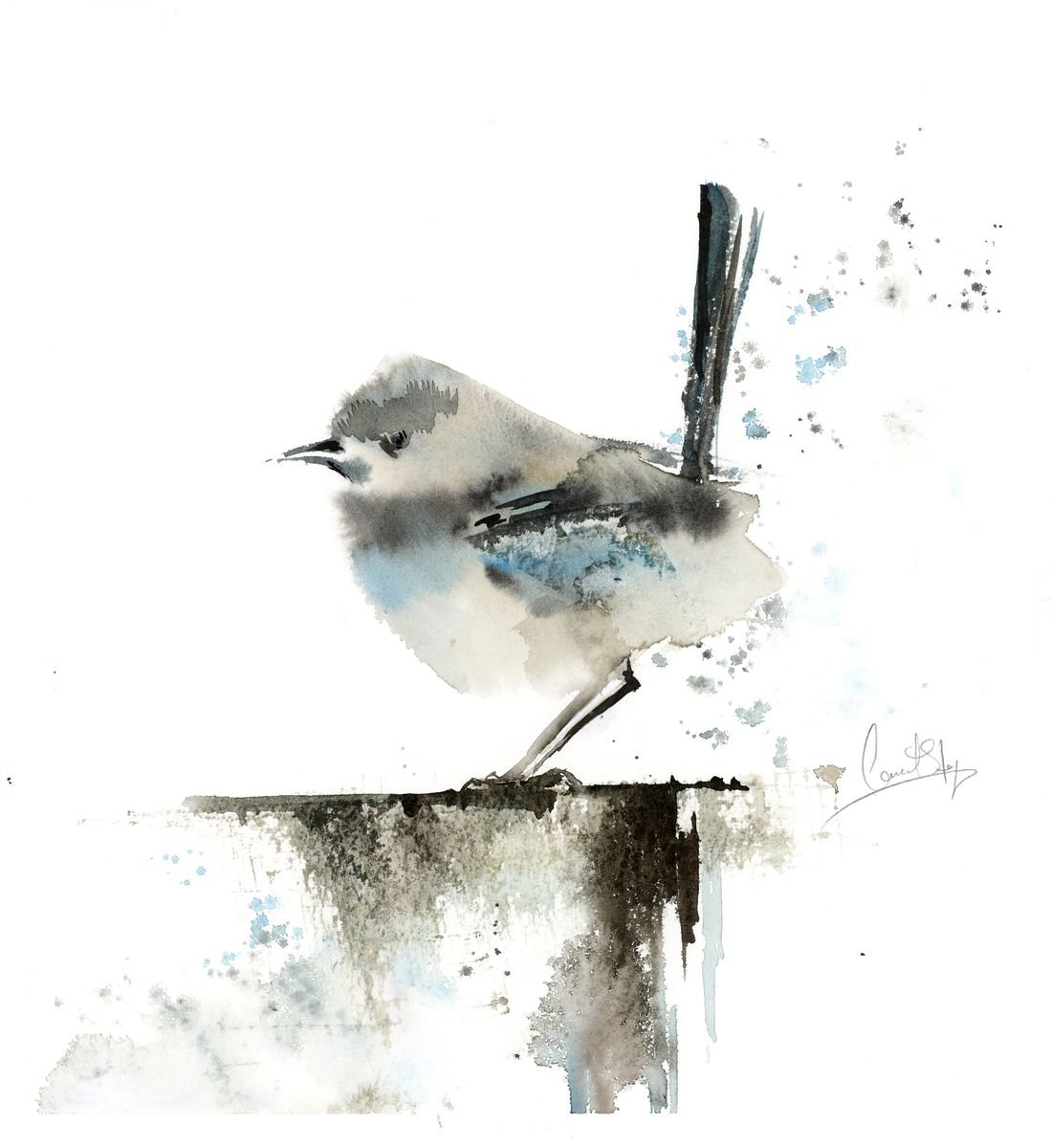 Wren Bird by Sophie Rodionov
