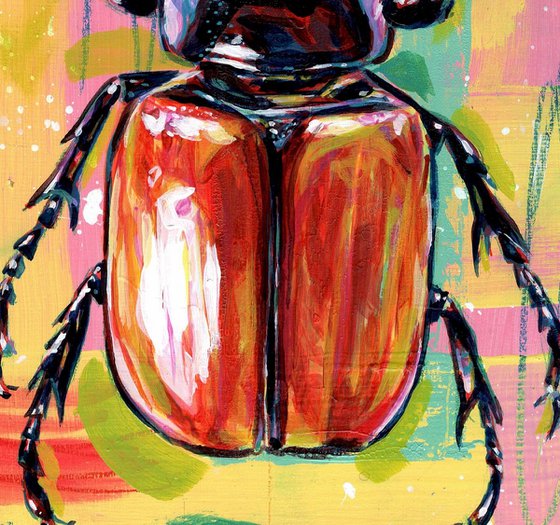 Five horned rhino beetle
