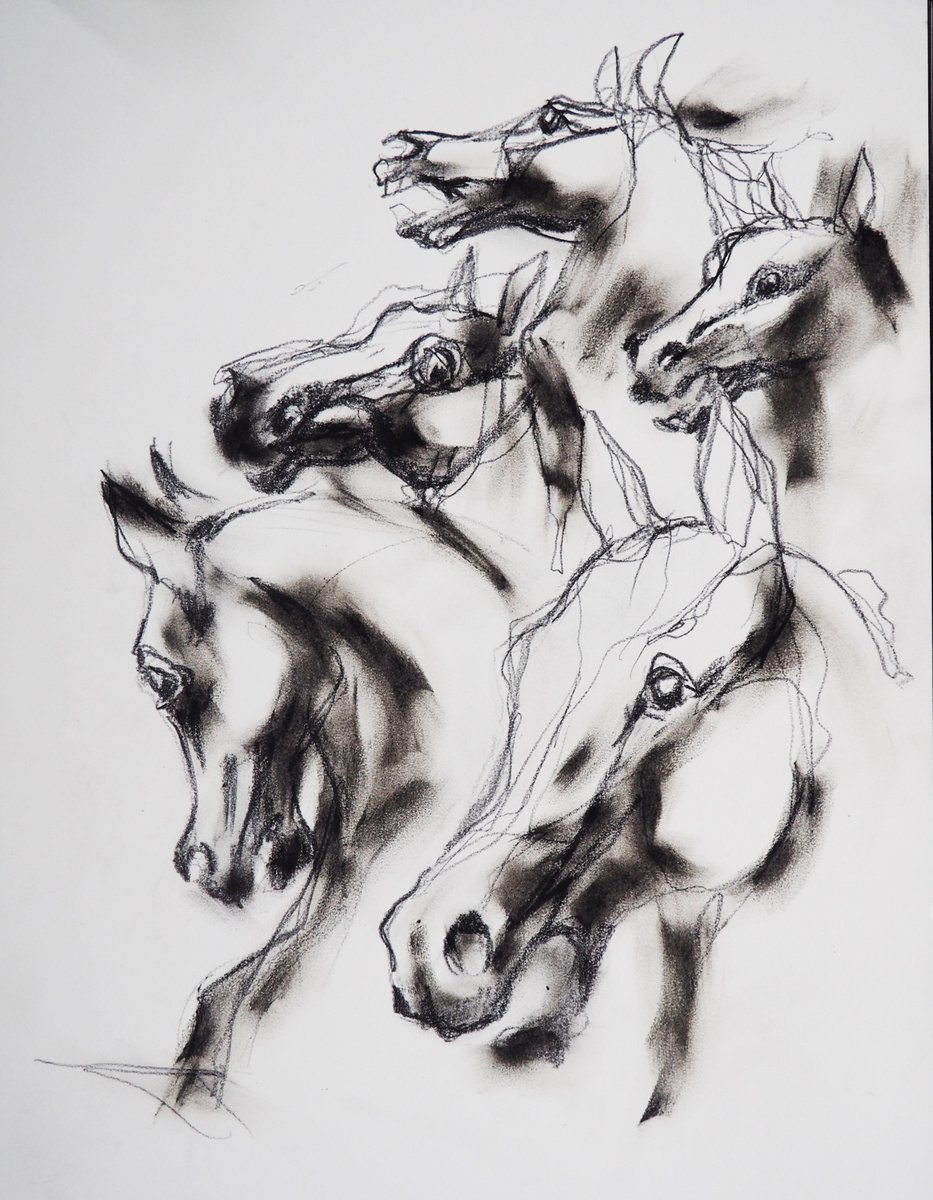 HORSES by Nicolas GOIA