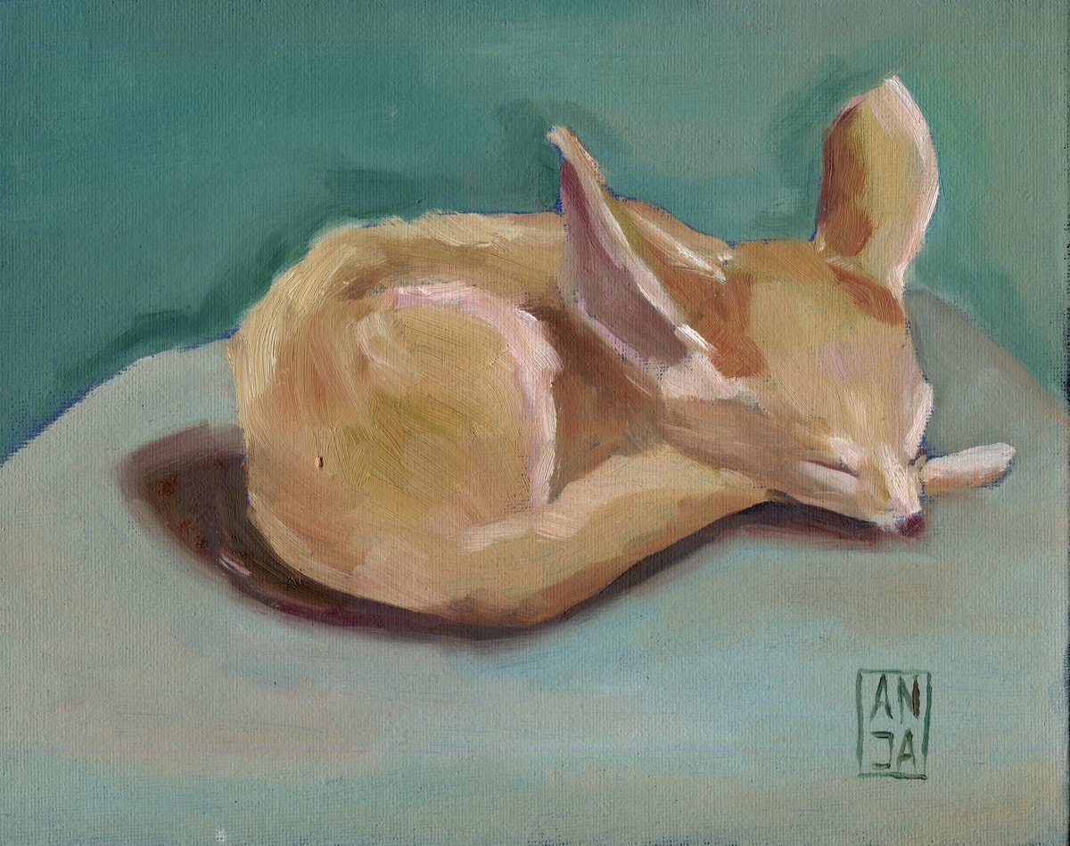 Fennec fox by Anja Rudko