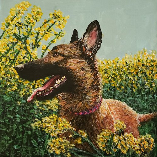 Malinois Amongst Flowers by Robbie Potter