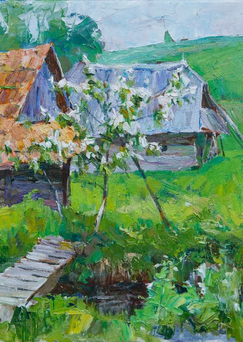 Cherry blooms by Aleksandr Korol