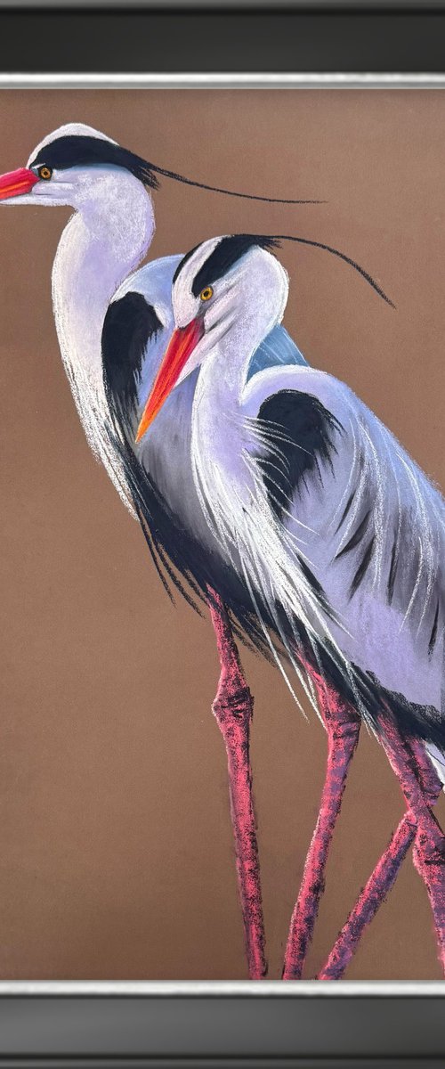 Heron Wader Ardea Hern Stroks by Yuliia Sharapova