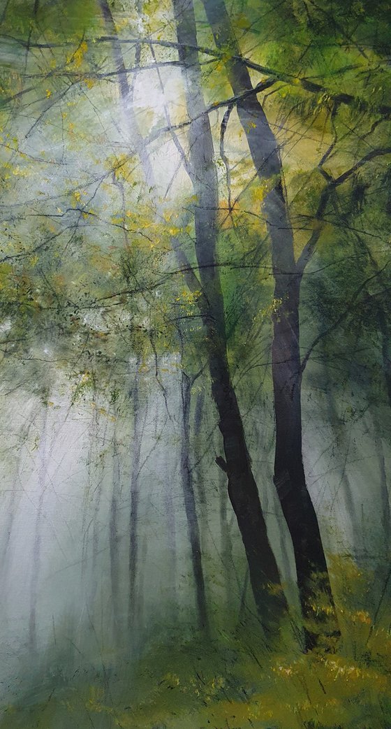 Sun beams in the foggy forest