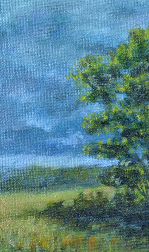 Spring Storm - Spring Leaves - 5X7 oil by Kathleen McDermott