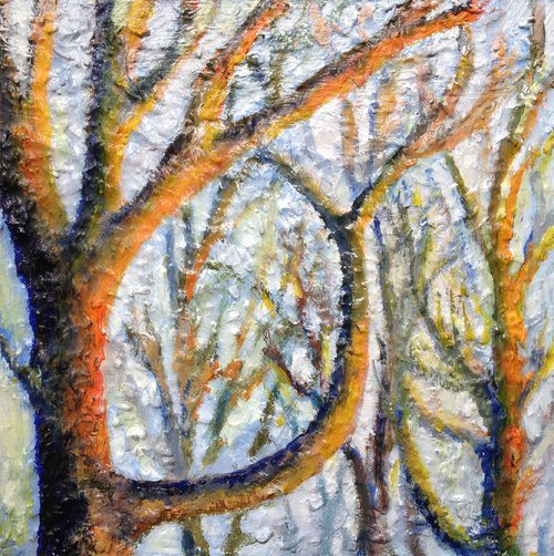 wintertrees by René Goorman
