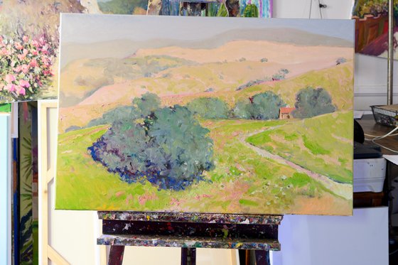 Summer. California Mountains