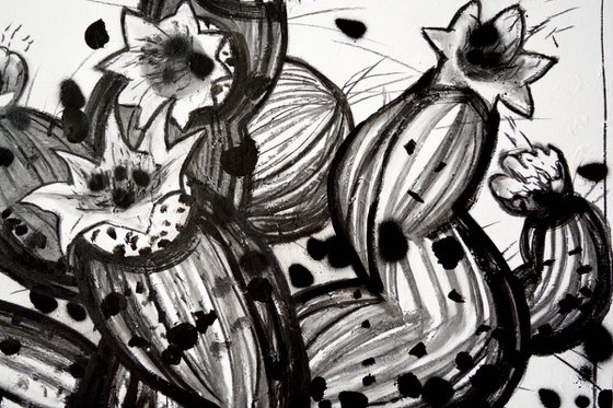 Sur Plants 1