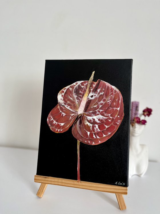 Anthurium flowers