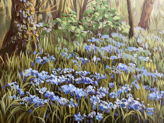 Springtime in the Woods VI