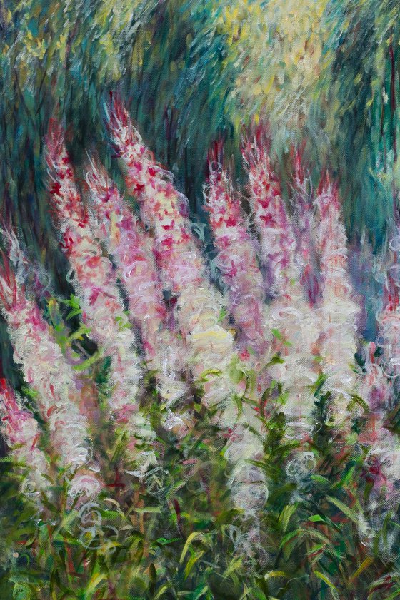 Willowherbs