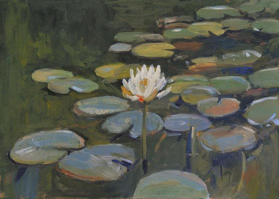 Water lilies V