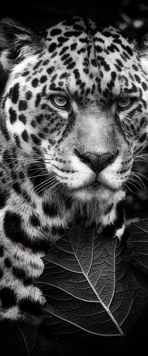 Jaguar hiding by Paul Nash