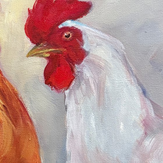 Rooster Banter